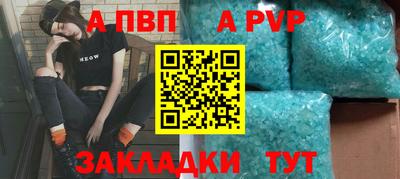 spice Кингисепп