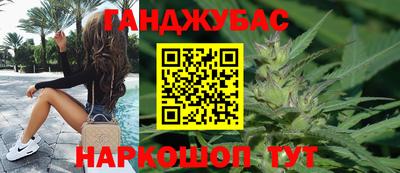 spice Кингисепп