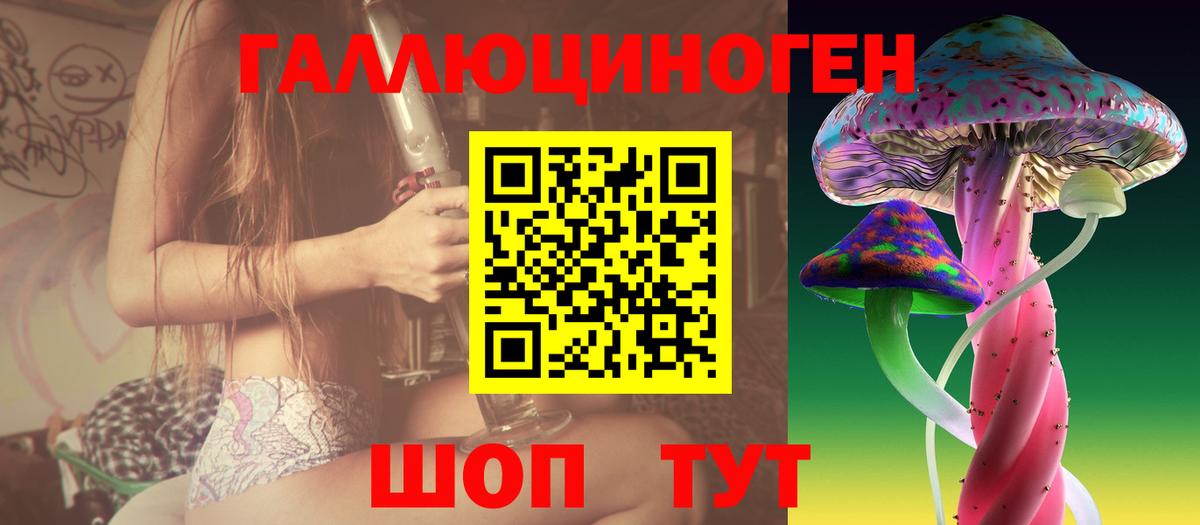 купить наркотик  Вход с VPN  Дальнегорск  Псилоцибиновые грибы ЛСД 