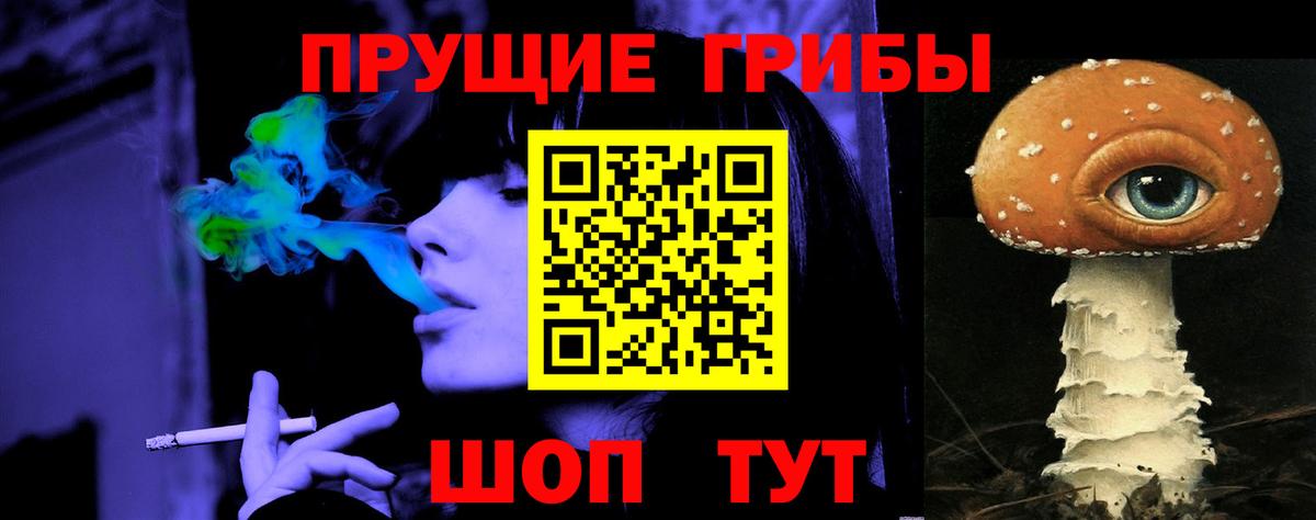 Псилоцибиновые грибы Cubensis Дальнегорск
